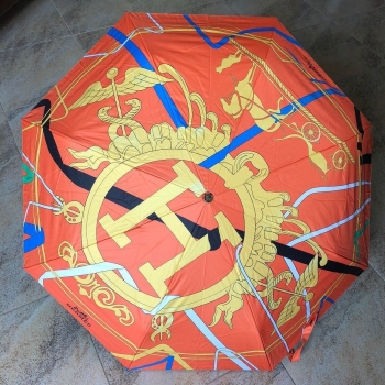 Зонт Hermes Артикул BMS-56079. Вид 1