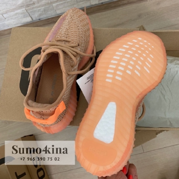 Кроссовки женские Adidas Yeezy Boost  Артикул BMS-39544. Вид 4