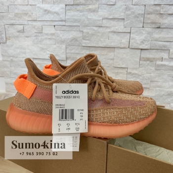 Кроссовки женские Adidas Yeezy Boost  Артикул BMS-39544. Вид 5