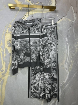 Костюм спортивный  Christian Dior Артикул BMS-136140. Вид 1