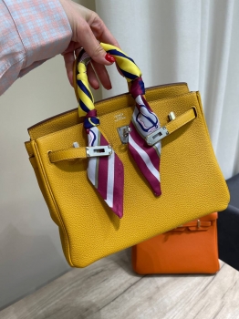 Сумка женская Birkin 25, Togo, GHW Hermes Артикул BMS-144348. Вид 1