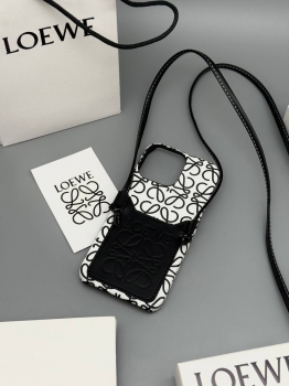 Чехол на Iphone 16 pro max  Loewe Артикул BMS-150730. Вид 1