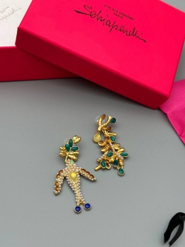 Серьги Schiaparelli  Артикул BMS-148476. Вид 1