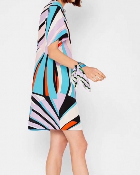 Платье Emilio Pucci  Артикул BMS-39532. Вид 1