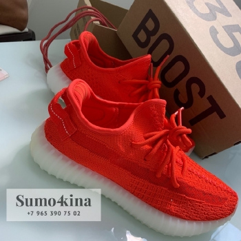 Кроссовки женские Adidas Yeezy Boost  Артикул BMS-39541. Вид 1