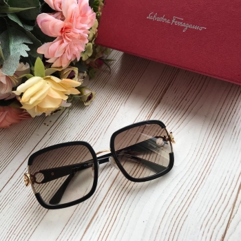 Очки Salvatore Ferragamo Артикул BMS-40638. Вид 2