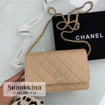 Сумка женская Chanel Артикул BMS-41518. Вид 1