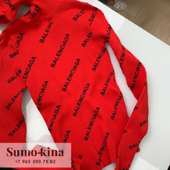  Водолазка женская Balenciaga Артикул BMS-41508. Вид 1