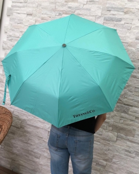 Зонт  Tiffany&Co Артикул BMS-42165. Вид 1