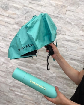 Зонт  Tiffany&Co Артикул BMS-42165. Вид 2