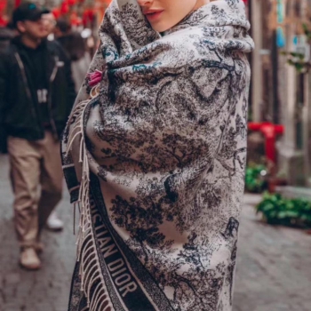 Палантин Christian Dior Артикул BMS-48911. Вид 1