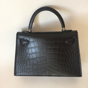 Сумка женская Kelly Croc  Hermes Артикул BMS-54779. Вид 2