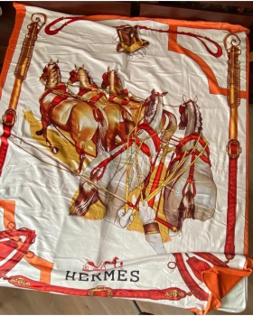 Плед Hermes Артикул BMS-55586. Вид 2
