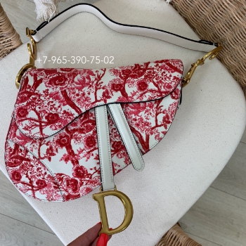 Сумка женская Saddle  Christian Dior Артикул BMS-39263. Вид 2
