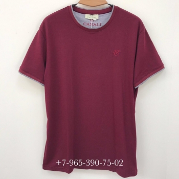  Футболка мужская Canali   Артикул BMS-38643. Вид 1