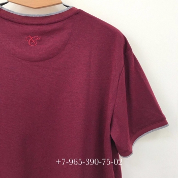  Футболка мужская Canali   Артикул BMS-38643. Вид 2