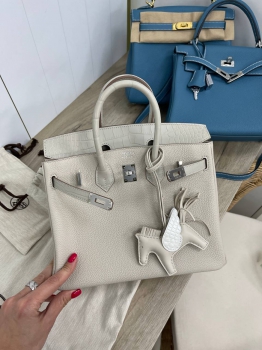 Сумка женская Birkin 25 cm, Togo Croc Hermes Артикул BMS-114496. Вид 1