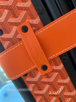 Чемодан Goyard  Артикул BMS-117551. Вид 6
