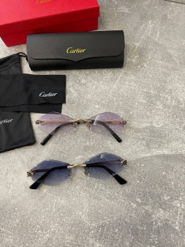 Очки Cartier Артикул BMS-131769. Вид 1
