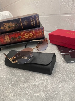 Очки Cartier Артикул BMS-131959. Вид 5