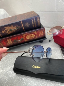 Очки Cartier Артикул BMS-131958. Вид 2