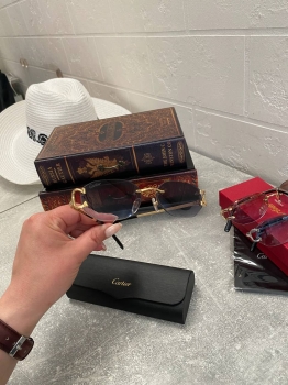 Очки Cartier Артикул BMS-131957. Вид 1
