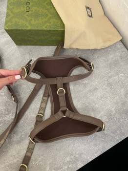 Шлейка+поводок  Gucci Артикул BMS-132048. Вид 2