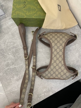Шлейка+поводок  Gucci Артикул BMS-132048. Вид 4