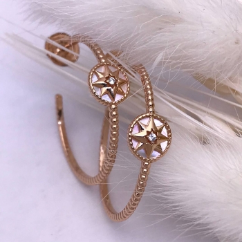 Серьги Christian Dior Артикул BMS-132601. Вид 1