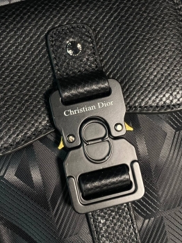 Слинг Christian Dior Артикул BMS-133437. Вид 4