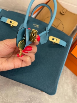 Сумка женская Birkin , 25, Togo, GHW Hermes Артикул BMS-133510. Вид 4