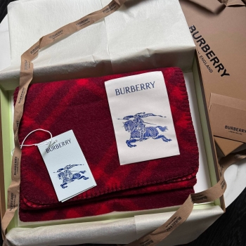 Шарф Burberry Артикул BMS-135849. Вид 1
