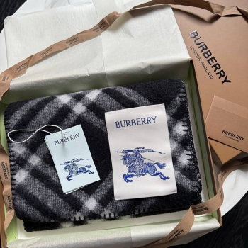 Шарф Burberry Артикул BMS-135848. Вид 1