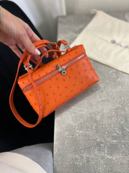 Сумка женская Loro Piana Артикул BMS-136917. Вид 1