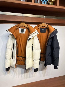 Пуховик ZEGNA Артикул BMS-137045. Вид 2
