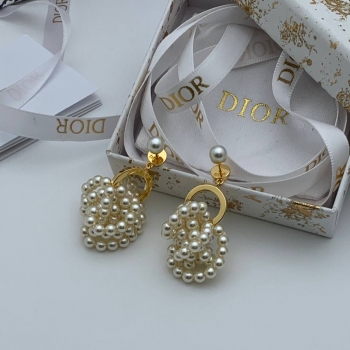 Серьги  Christian Dior Артикул BMS-137818. Вид 1