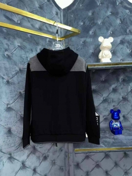 Костюм спортивный Loro Piana Артикул BMS-138237. Вид 2