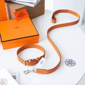 Ошейник Hermes Артикул BMS-139138. Вид 4