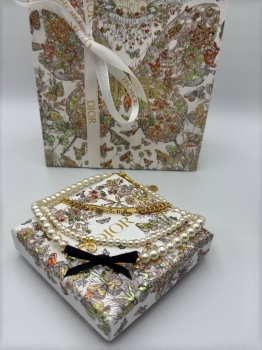 Чокер Christian Dior Артикул BMS-139642. Вид 3