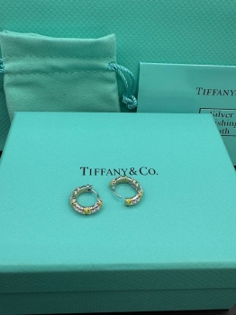 Серьги Tiffany&Co Артикул BMS-139858. Вид 1