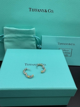 Серьги Tiffany&Co Артикул BMS-139858. Вид 2