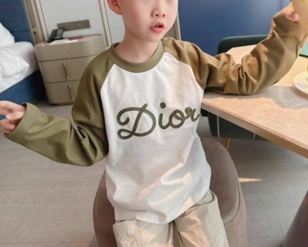 Лонгслив Christian Dior Артикул BMS-140302. Вид 2