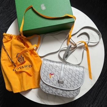 Сумка мужская Goyard Артикул BMS-140354. Вид 1