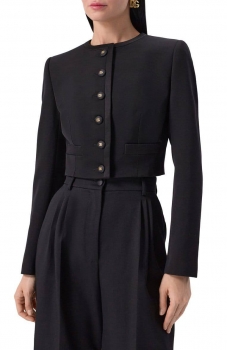 Жакет  Dolce & Gabbana Артикул BMS-141074. Вид 1