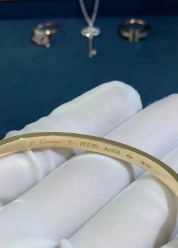 Браслет LOVE Cartier Артикул BMS-141347. Вид 4