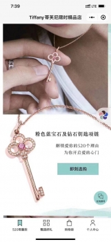 Подвеска Keys Tiffany&Co Артикул BMS-141760. Вид 6