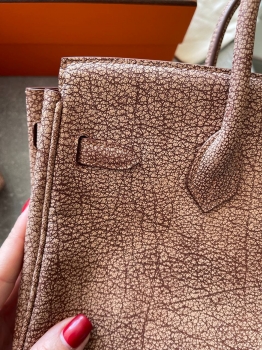 Сумка женская Birkin, Dalmatien, 25 cm Hermes Артикул BMS-141873. Вид 6