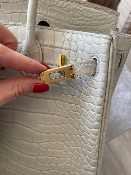 Сумка женская Birkin, 25 Crocodile Niloticus Mat Hermes Артикул BMS-141930. Вид 7