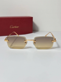 Очки Cartier Артикул BMS-144553. Вид 1