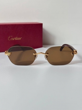 Очки Cartier Артикул BMS-144551. Вид 1